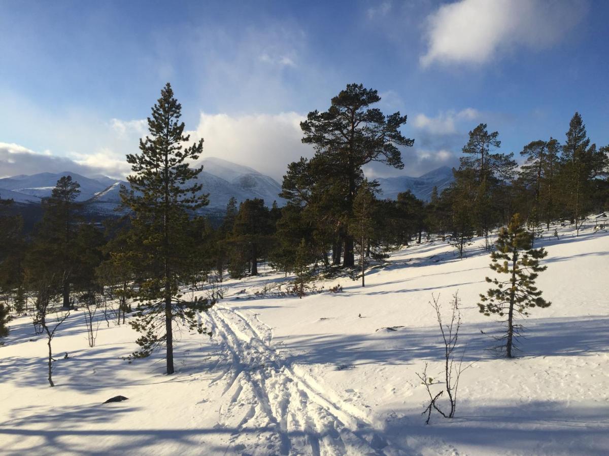 Вилла Rondane Sollia Friluftsliv Ovre Nordli Экстерьер фото