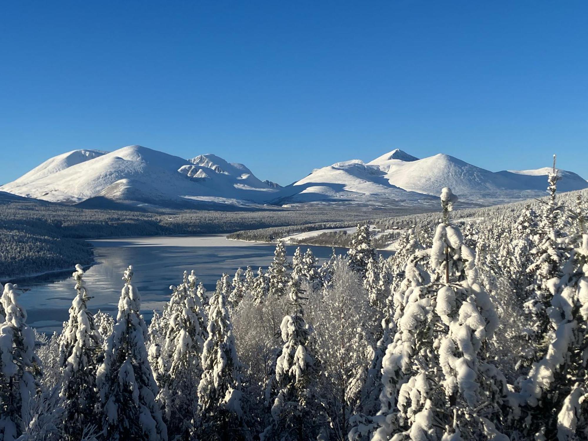 Вилла Rondane Sollia Friluftsliv Ovre Nordli Экстерьер фото